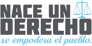 N1D-logo
